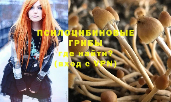 ALPHA PVP Магас
